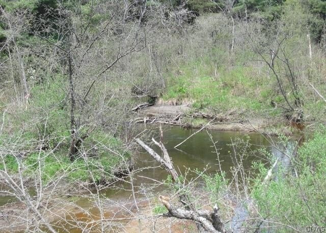 Red School Road Salisbury Center, NY 13454 - Photo 3 of 5