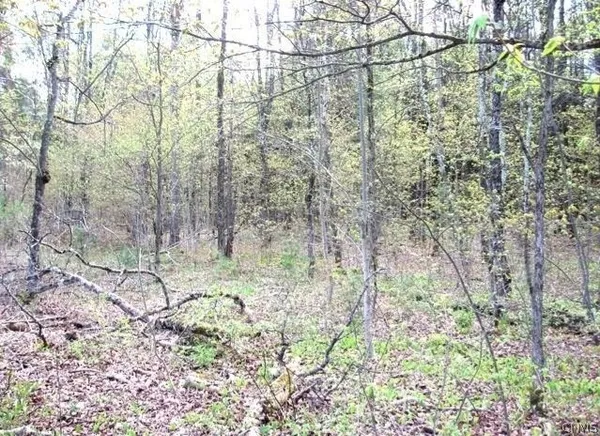 $100,000 | Red School Road, Salisbury Center, NY 13454