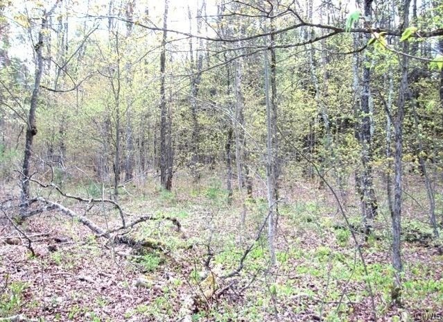 Red School Road Salisbury Center, NY 13454 - Photo 4 of 5