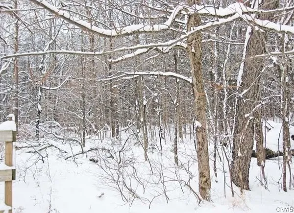 $100,000 | Red School Road, Salisbury Center, NY 13454