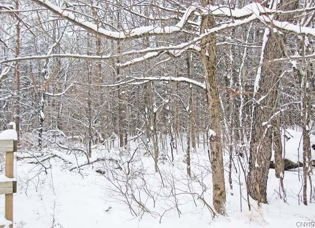 Red School Road Salisbury Center, NY 13454 - Photo 5 of 5