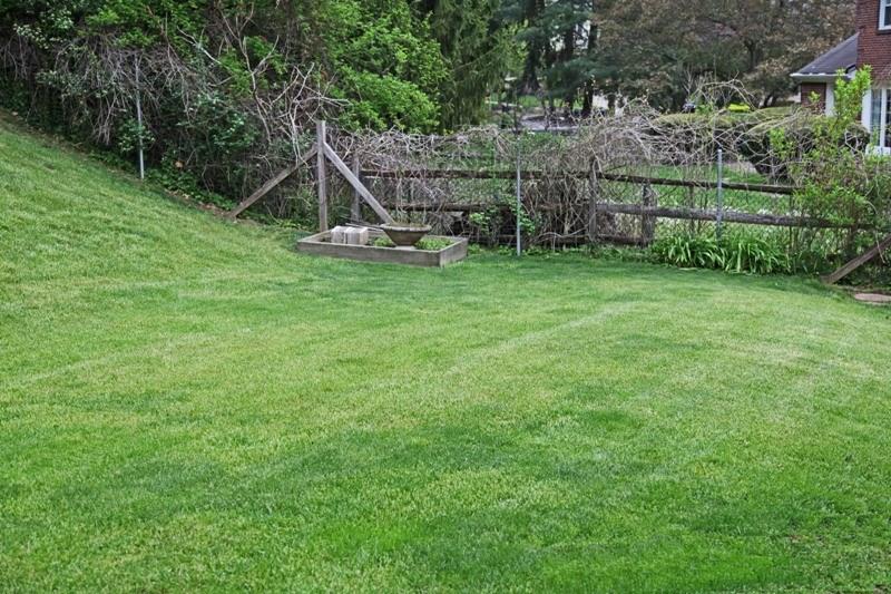 9467 North Florence Road Pittsburgh, PA 15237 - Photo 20 of 22 There is Plenty of Room for Swing Set and Play Area