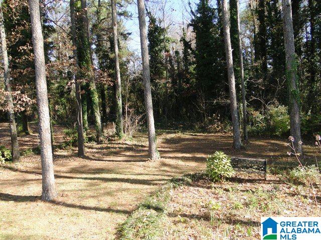 1905 3rd Place Northeast Center Point, AL 35215 - Photo 28 of 28