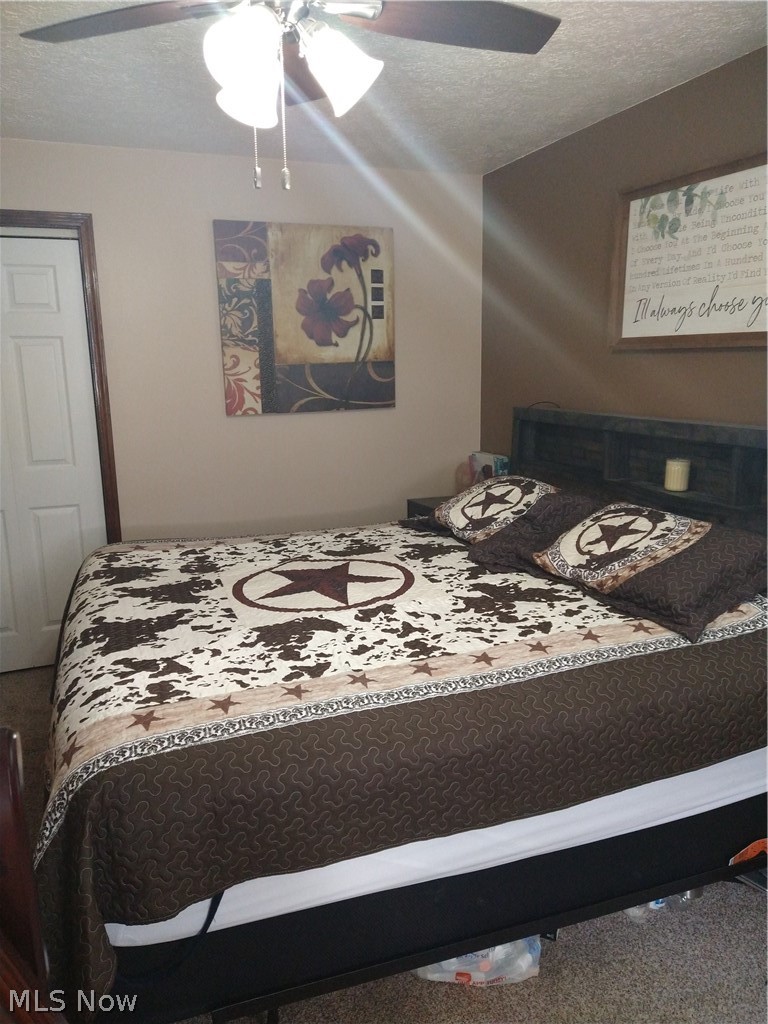 5709 Amy Boyle Road Northeast Fowler, OH 44418 - Photo 8 of 14 master bedroom