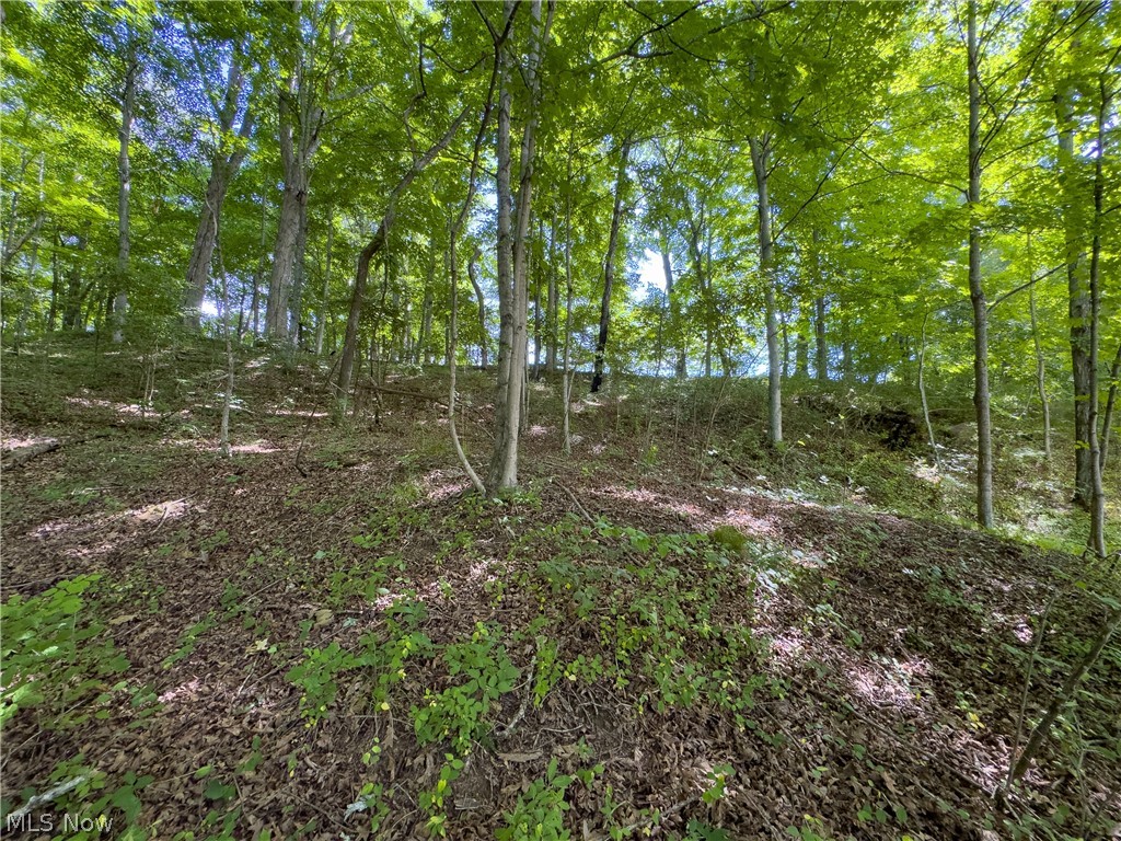 5 Jake Road Patriot, OH 45658 - Photo 10 of 17
