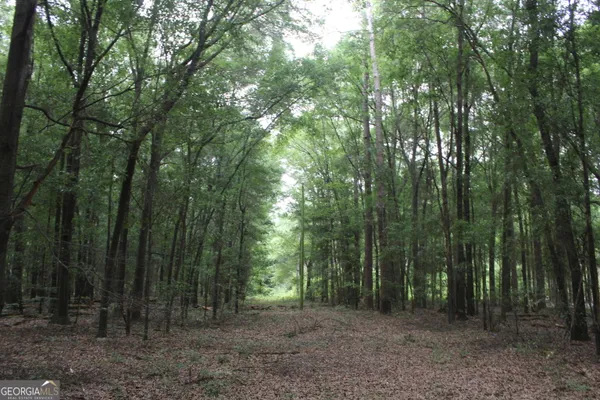 $89,900 | 0 South State Route 49 Road, Oglethorpe, GA 31068