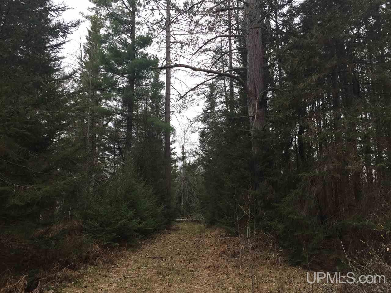 Tbd River Road, Unit SEC 8 T45N R29W 18 20A TH Ishpeming, MI 49849 - Photo 4 of 4