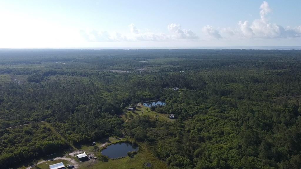 380 Clark's Landing Road Carrabelle, FL 32322 - Photo 12 of 12 Gallery Image 12