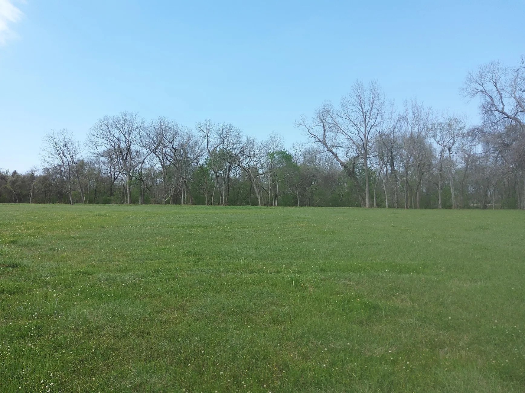 Lot 1 FM 521 Road Angleton, TX 77515 - Photo 9 of 34