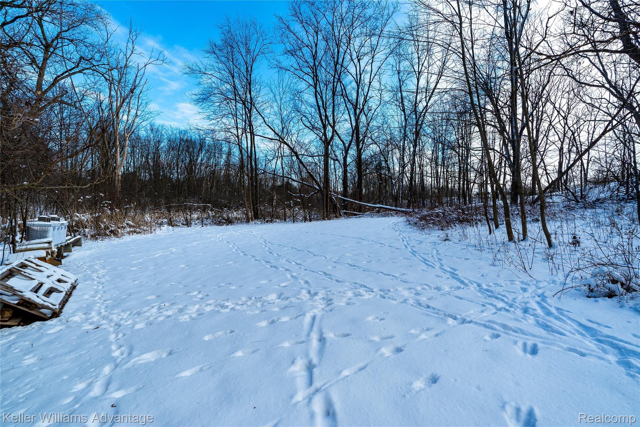 25716 Power Road Farmington, MI 48336 - Photo 35 of 45 PowerRd_25716_Yard 2.jpg