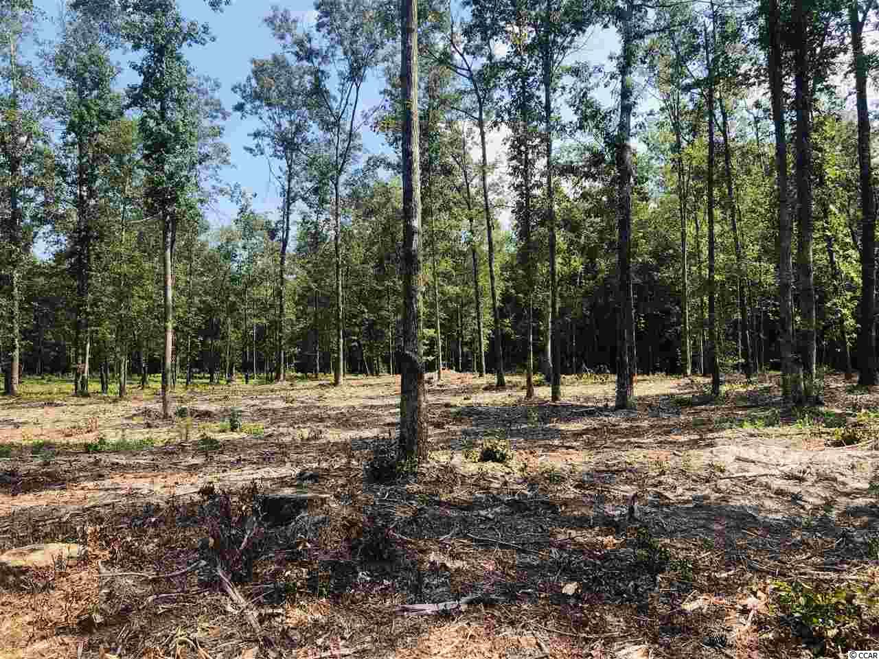 19 Loris Sc 29569 Loris, SC 29569 - Photo 10 of 27 Gallery Image 10