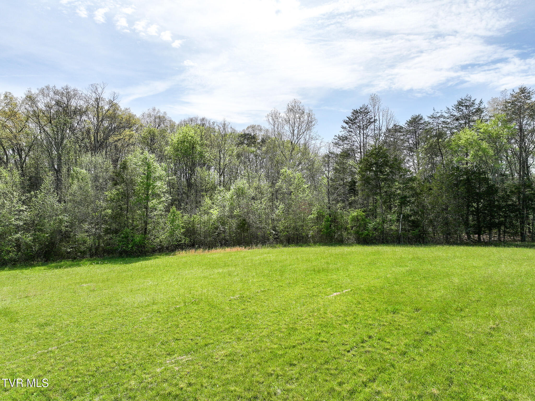 815 Flatwoods Road Mosheim, TN 37818 - Photo 43 of 65 50