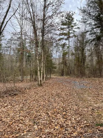 $215,000 | Na Na Estaline Valley Road, Goshen, VA 24439