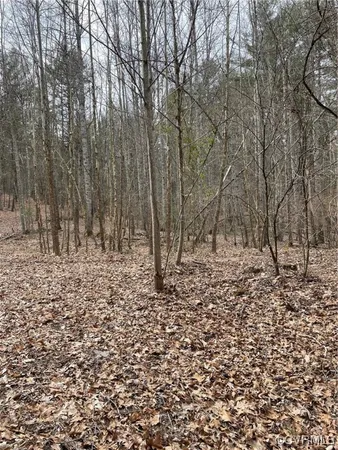 $215,000 | Na Na Estaline Valley Road, Goshen, VA 24439