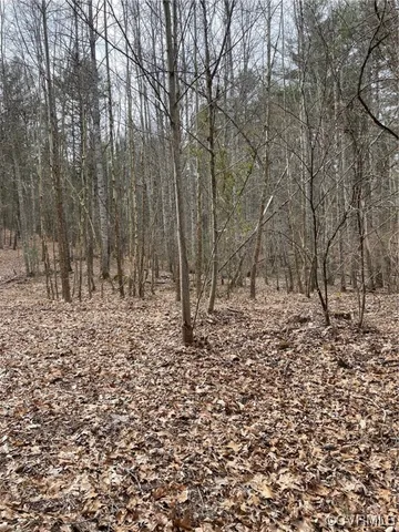 $215,000 | Na Na Estaline Valley Road, Goshen, VA 24439