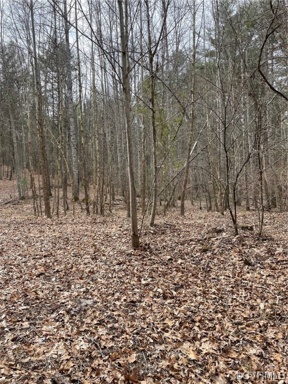 Na Na Estaline Valley Road Goshen, VA 24439 - Photo 3 of 9