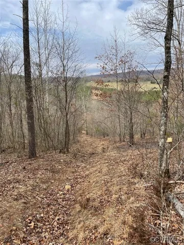 $215,000 | Na Na Estaline Valley Road, Goshen, VA 24439