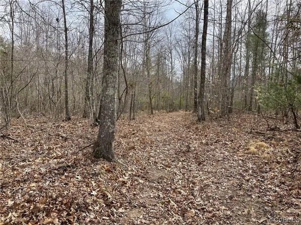 $215,000 | Na Na Estaline Valley Road, Goshen, VA 24439