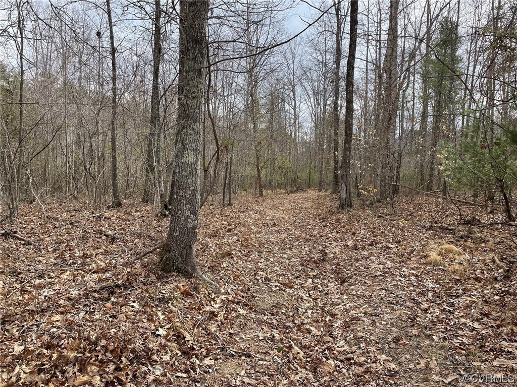 Na Na Estaline Valley Road Goshen, VA 24439 - Photo 8 of 9