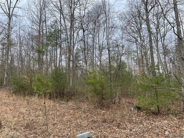 $215,000 | Na Na Estaline Valley Road, Goshen, VA 24439