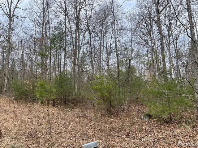 $215,000 | Na Na Estaline Valley Road, Goshen, VA 24439