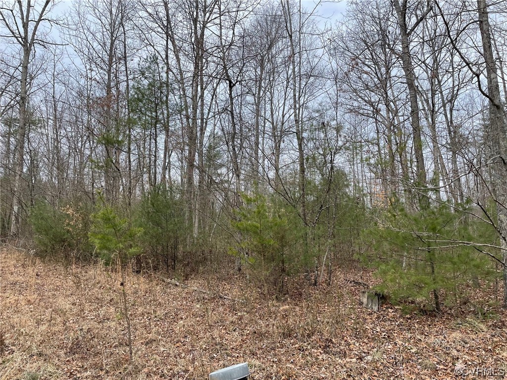 Na Na Estaline Valley Road Goshen, VA 24439 - Photo 9 of 9