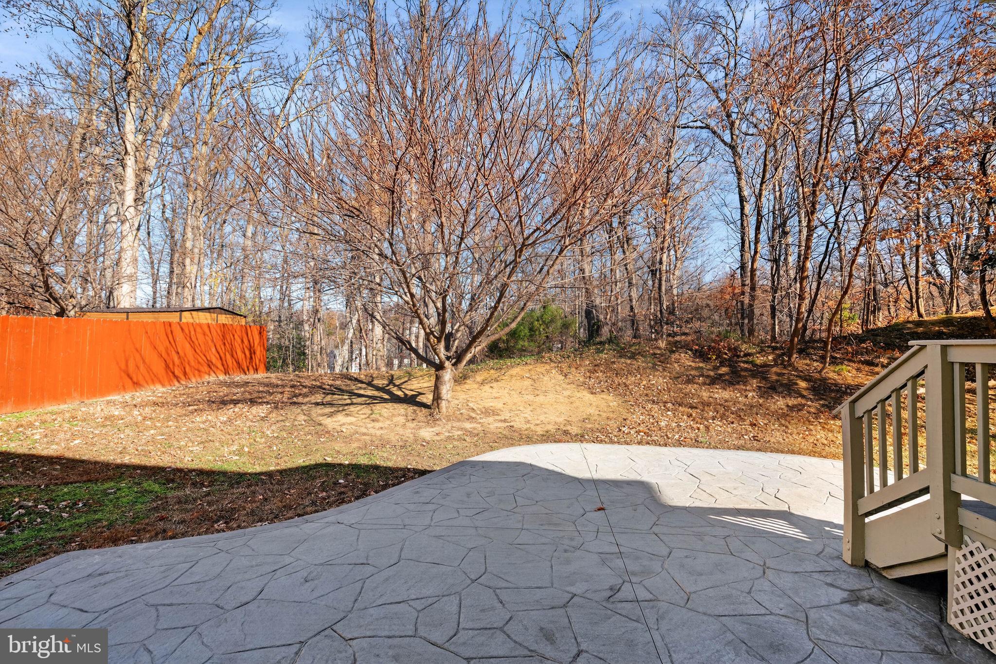 3313 Lady Catherine Circle Triangle, VA 22172 - Photo 48 of 51 a view of yard covered with snow in front of house