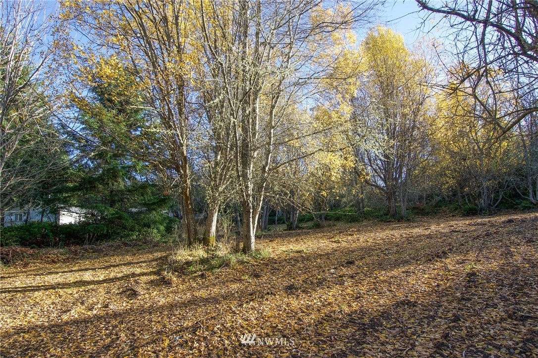 2 Lake Farm Rd Port Port Angeles, WA 98362 - Photo 2 of 40 a backyard of a house with lots of green space