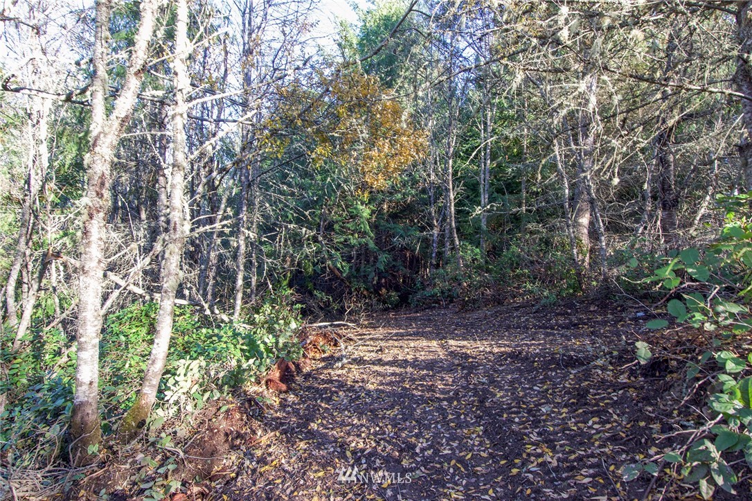 2 Lake Farm Rd Port Port Angeles, WA 98362 - Photo 26 of 40 a view of a forest with trees