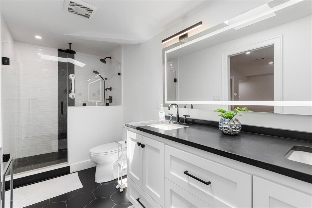 149 Robbins Road Watertown, MA 02472 - Photo 25 of 33 a bathroom with a granite countertop sink a toilet a mirror and shower