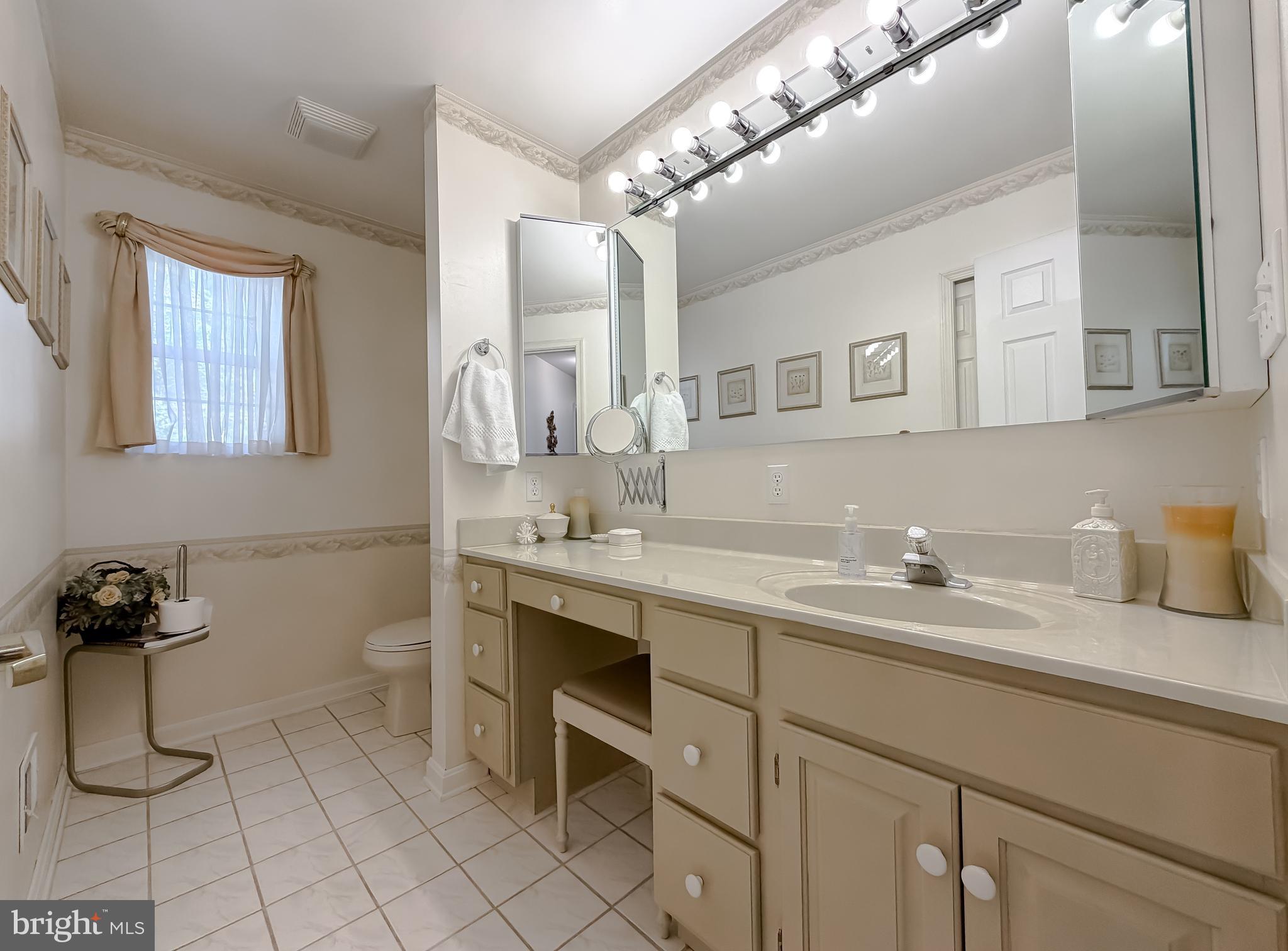 48712 Packer Court St. Inigoes, MD 20684 - Photo 26 of 55 a bathroom with a sink a toilet and mirror