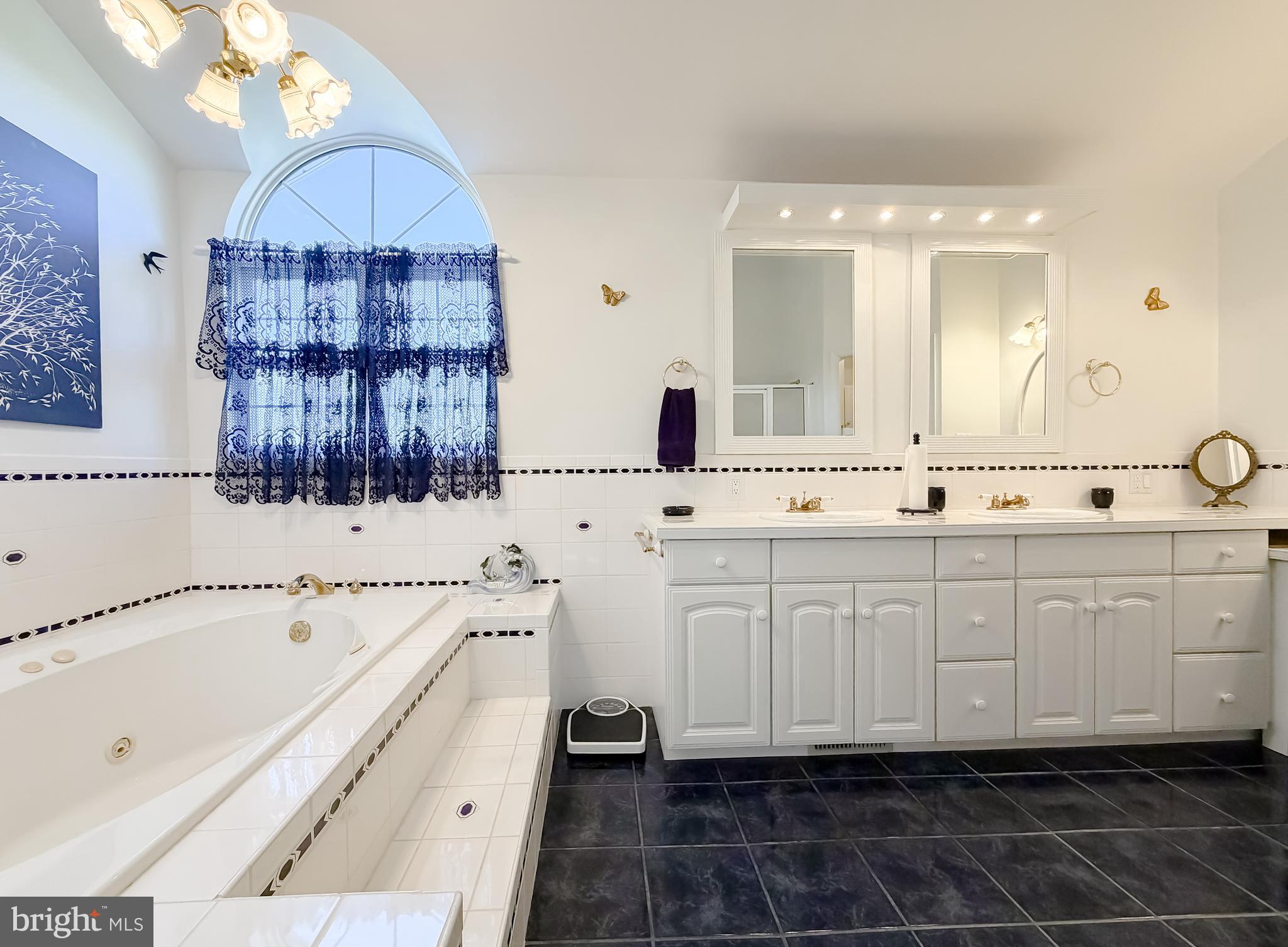 48712 Packer Court St. Inigoes, MD 20684 - Photo 39 of 55 a bathroom with a tub sink and mirror