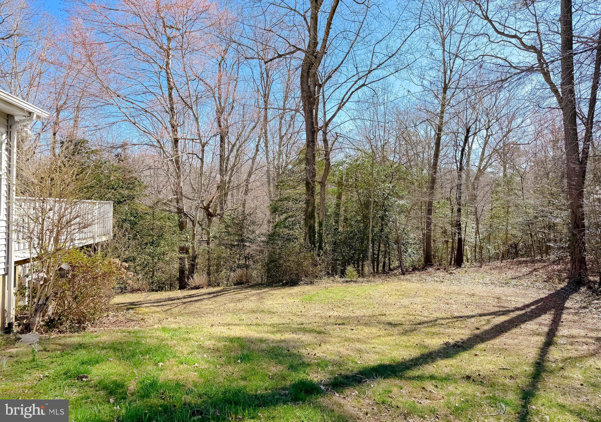 48712 Packer Court St. Inigoes, MD 20684 - Photo 46 of 55 a view of a yard with large trees