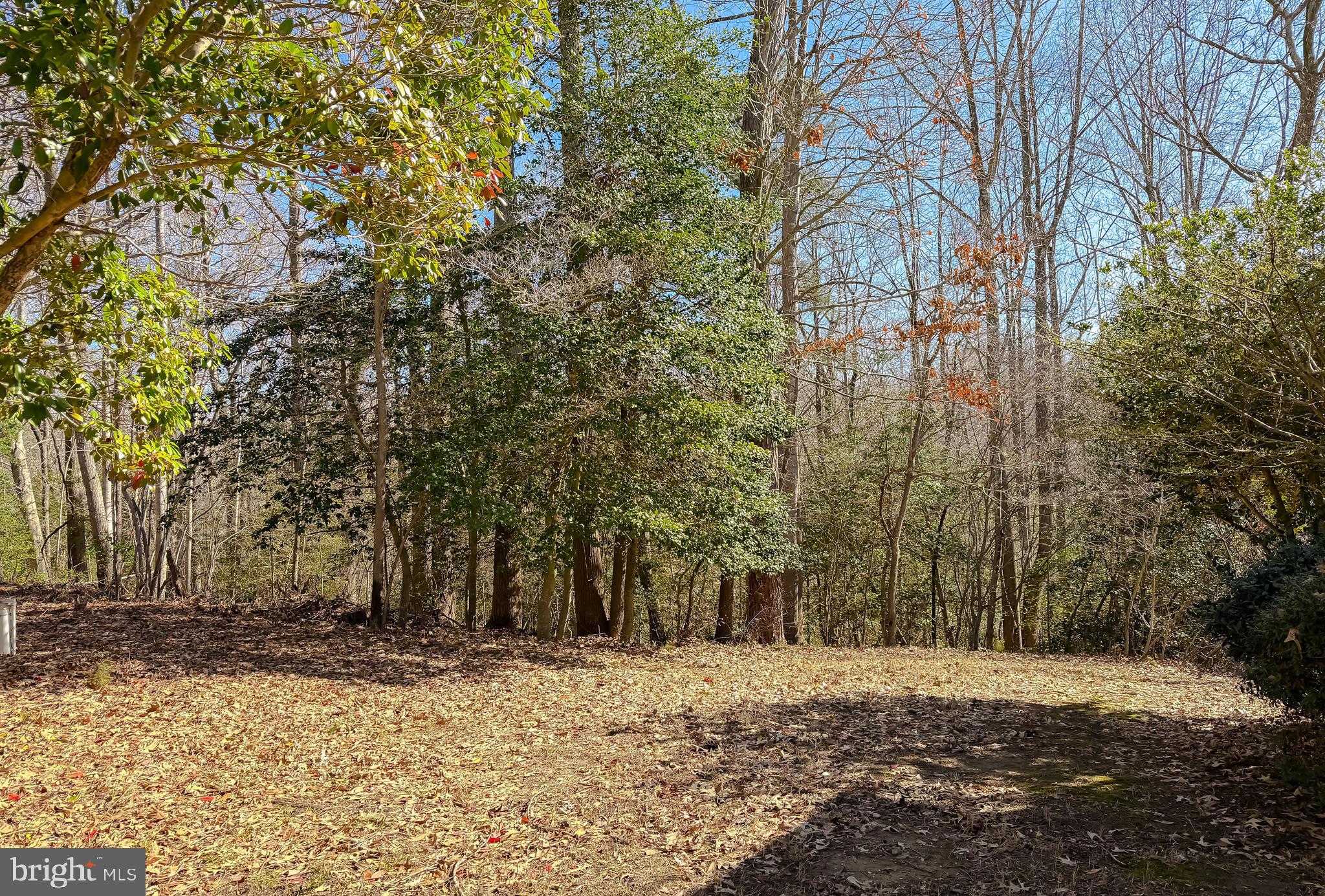 48712 Packer Court St. Inigoes, MD 20684 - Photo 51 of 55 a view of a yard with trees