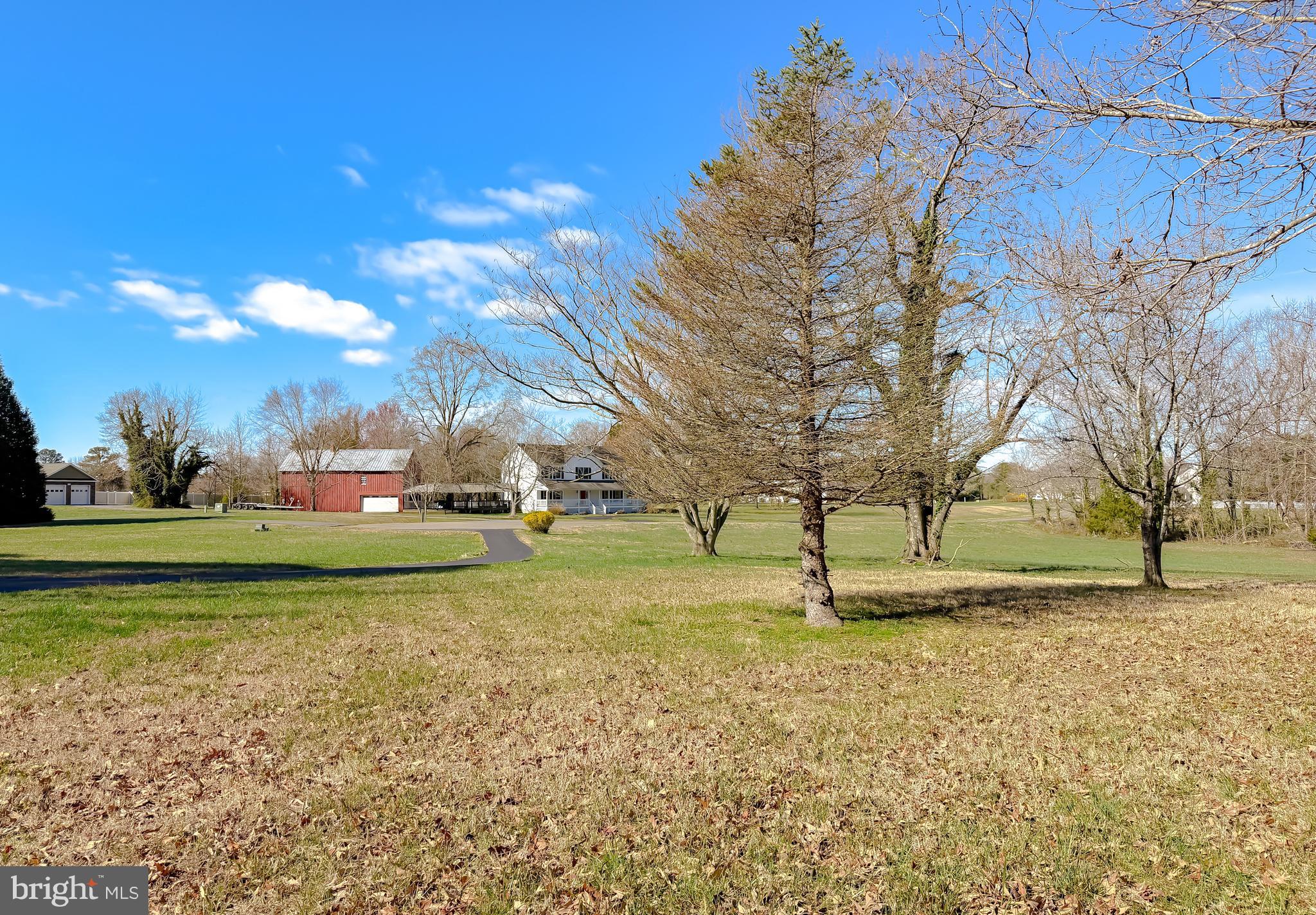 48712 Packer Court St. Inigoes, MD 20684 - Photo 52 of 55 a park with lots of trees