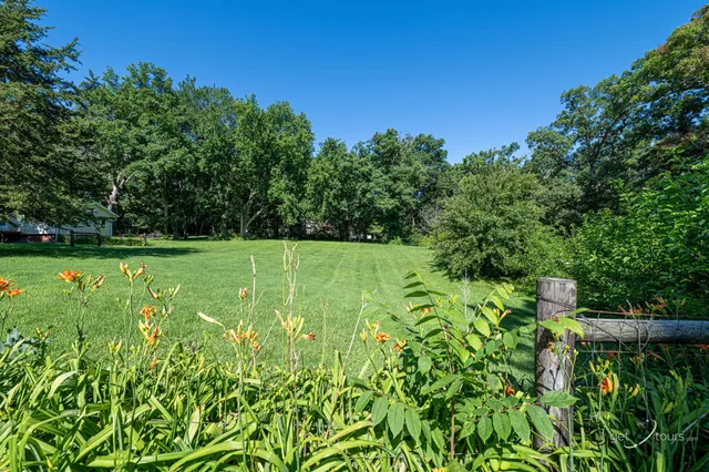 a view of a park with large trees