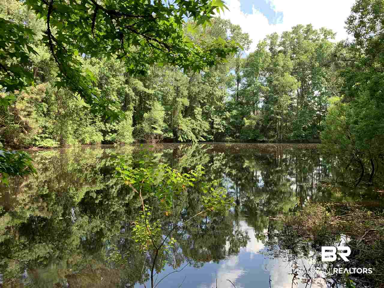 1478 Ridge Road Greenville, AL 36037 - Photo 5 of 50