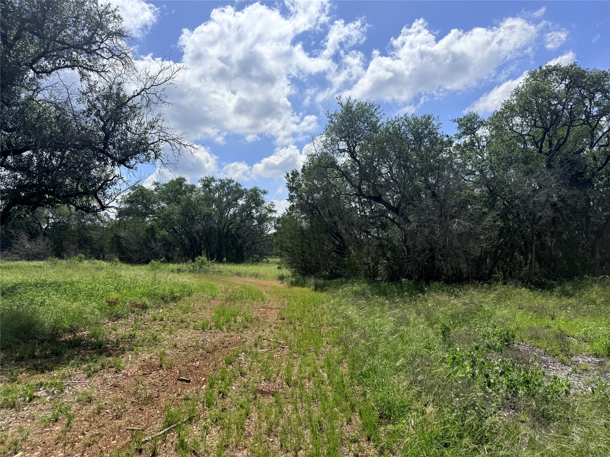 2013 Hilliard Road San Marcos, TX 78666 - Photo 11 of 37 Accessible and partially cleared, but still plenty of trees to keep your land private.