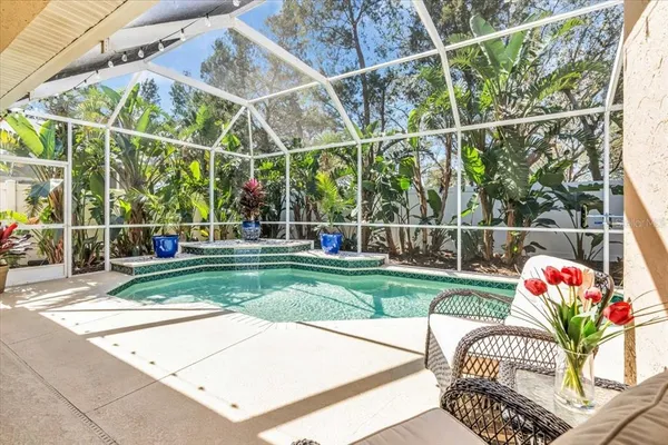 a view of a backyard