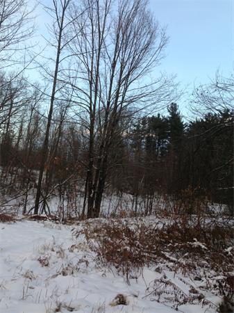 Lot 1 Nourse Road Ashby, MA 01431 - Photo 1 of 1 Gallery Image 1
