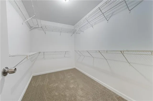 a bathroom with a shower and a sink