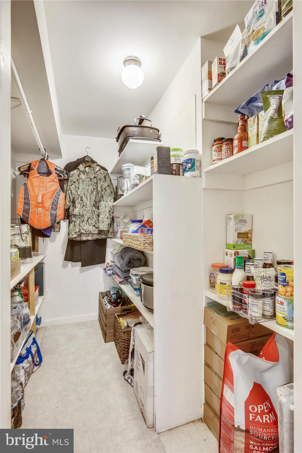 10414 Inwood Avenue Silver Spring, MD 20902 - Photo 35 of 44 Lower level walk in storage closet