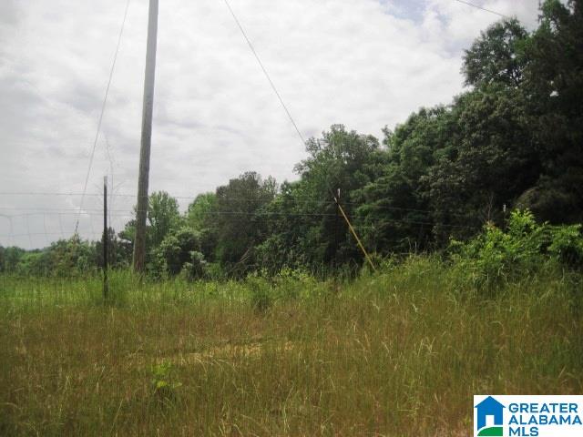 0 Sulphur Springs Road, Unit 10 ACRES Lincoln, AL 35096 - Photo 21 of 32