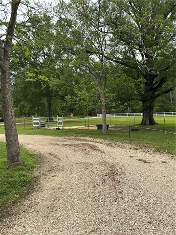 49317-49313 Woodhaven Road Tickfaw, LA 70466 - Photo 12 of 47