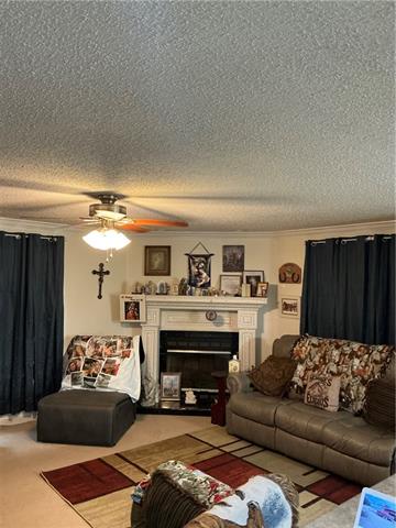 49317-49313 Woodhaven Road Tickfaw, LA 70466 - Photo 20 of 47