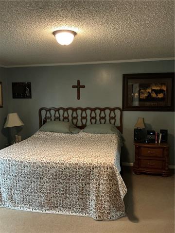 49317-49313 Woodhaven Road Tickfaw, LA 70466 - Photo 25 of 47