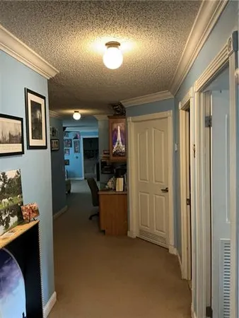 $425,000 | 49317-49313 Woodhaven Road, Tickfaw, LA 70466