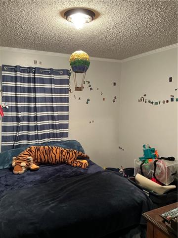 49317-49313 Woodhaven Road Tickfaw, LA 70466 - Photo 31 of 47