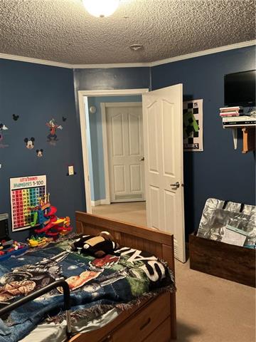 49317-49313 Woodhaven Road Tickfaw, LA 70466 - Photo 37 of 47