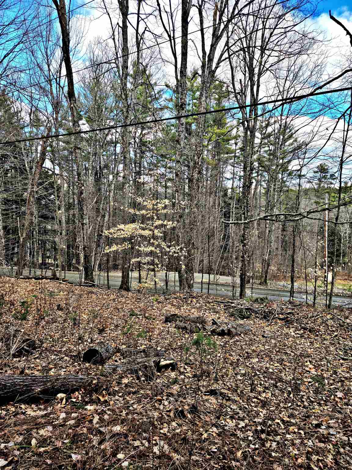 66 Turnpike Road Strafford, VT 05070 - Photo 4 of 6 Gallery Image 4